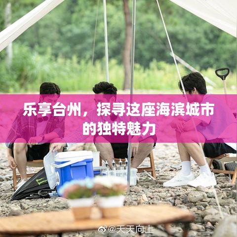 产品中心 第575页