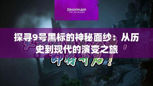探寻9号黑标的神秘面纱：从历史到现代的演变之旅