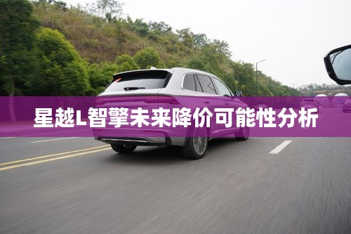 星越L智擎未来降价可能性分析