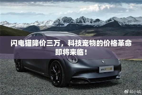 闪电猫降价三万，科技宠物的价格革命即将来临！