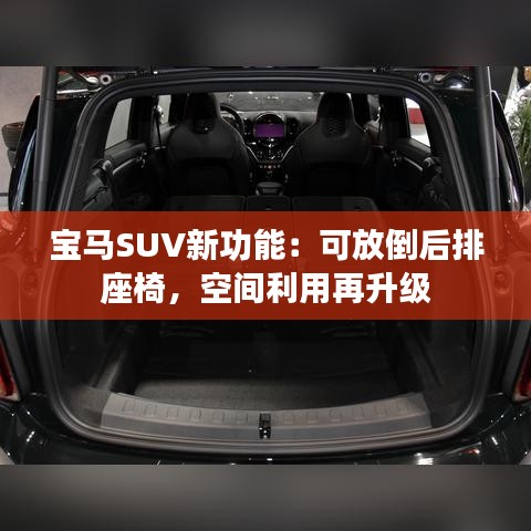 笨鸟先飞 第5页