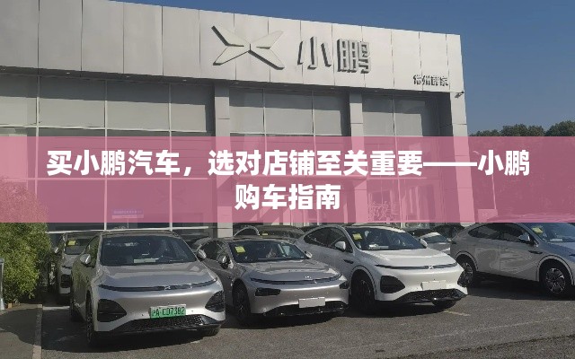买小鹏汽车，选对店铺至关重要——小鹏购车指南