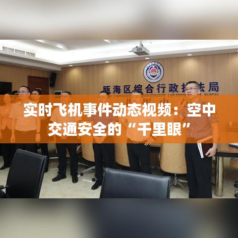 实时飞机事件动态视频：空中交通安全的“千里眼”