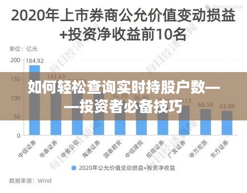 如何轻松查询实时持股户数——投资者必备技巧