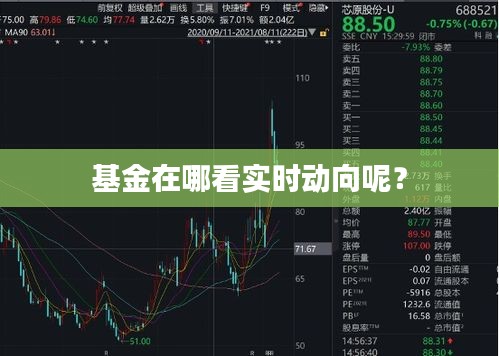 基金在哪看实时动向呢？