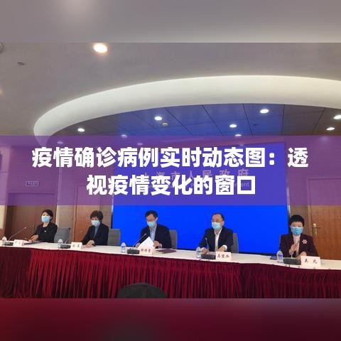 疫情确诊病例实时动态图：透视疫情变化的窗口