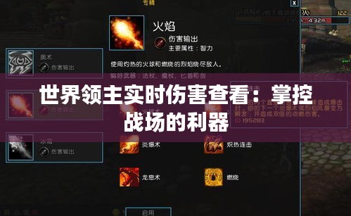 世界领主实时伤害查看：掌控战场的利器