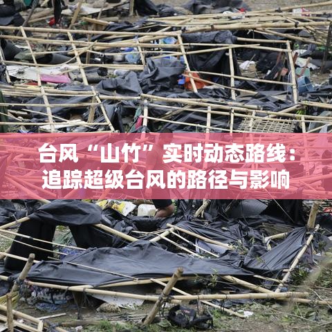 精耕细作 第5页