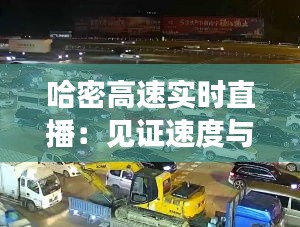 质而不俚 第4页