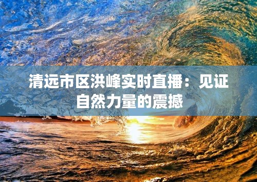 清远市区洪峰实时直播：见证自然力量的震撼