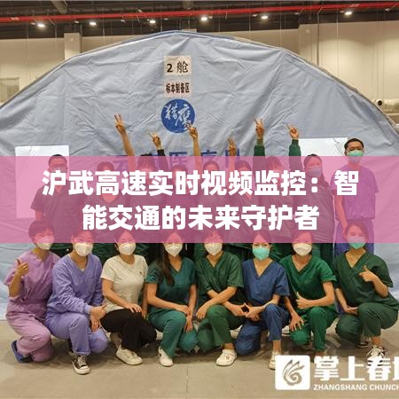 沪武高速实时视频监控：智能交通的未来守护者