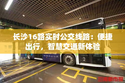 长沙16路实时公交线路：便捷出行，智慧交通新体验