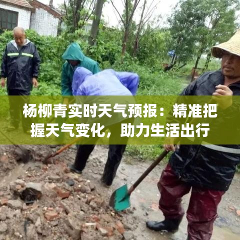 杨柳青实时天气预报：精准把握天气变化，助力生活出行