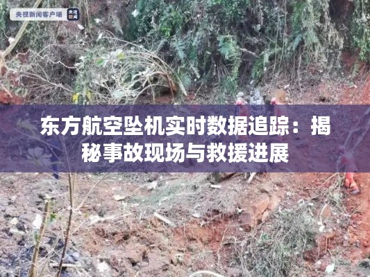 东方航空坠机实时数据追踪：揭秘事故现场与救援进展