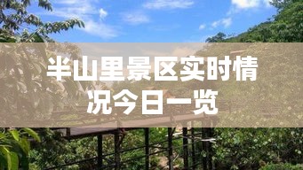 半山里景区实时情况今日一览