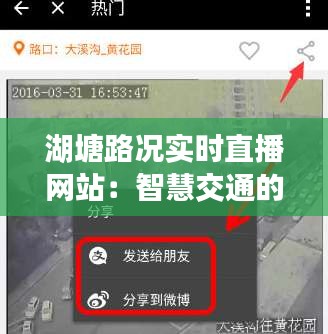 湖塘路况实时直播网站：智慧交通的便捷之选