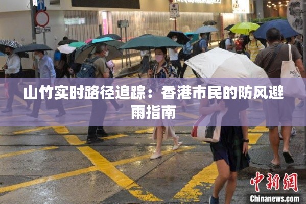 风韵犹存 第4页