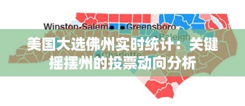 美国大选佛州实时统计：关键摇摆州的投票动向分析