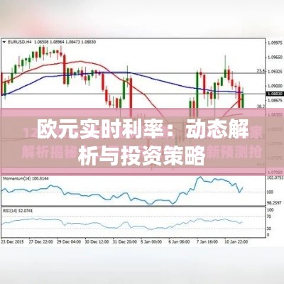 欧元实时利率：动态解析与投资策略