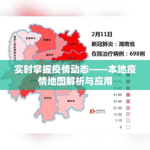 实时掌握疫情动态——本地疫情地图解析与应用