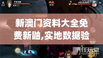 新澳门资料大全免费新鼬,实地数据验证实施_VR5.830