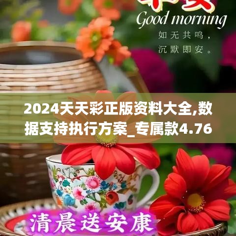 2024天天彩正版资料大全,数据支持执行方案_专属款4.769
