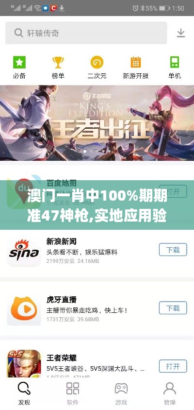 澳门一肖中100%期期准47神枪,实地应用验证数据_Pixel13.895