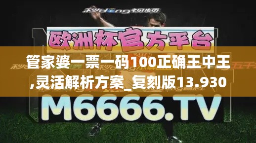 管家婆一票一码100正确王中王,灵活解析方案_复刻版13.930