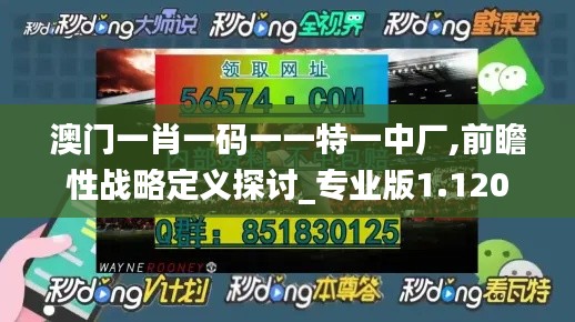 澳门一肖一码一一特一中厂,前瞻性战略定义探讨_专业版1.120
