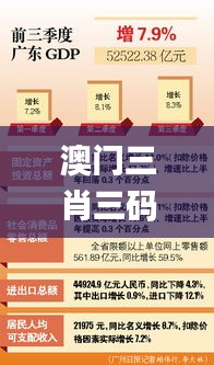澳门三肖三码三期凤凰,创新解读执行策略_专业款14.197