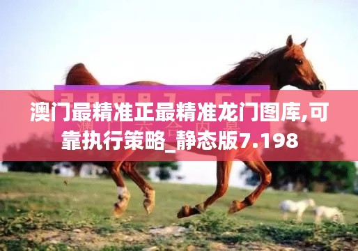 澳门最精准正最精准龙门图库,可靠执行策略_静态版7.198
