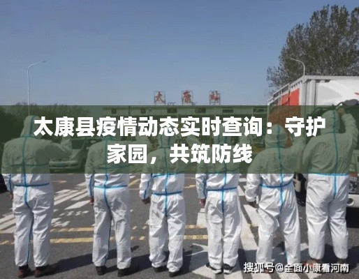 太康县疫情动态实时查询：守护家园，共筑防线