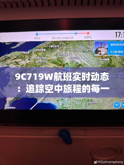 9C719W航班实时动态：追踪空中旅程的每一刻