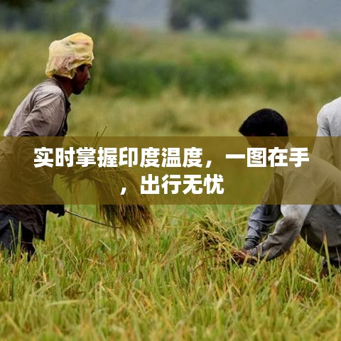 实时掌握印度温度，一图在手，出行无忧