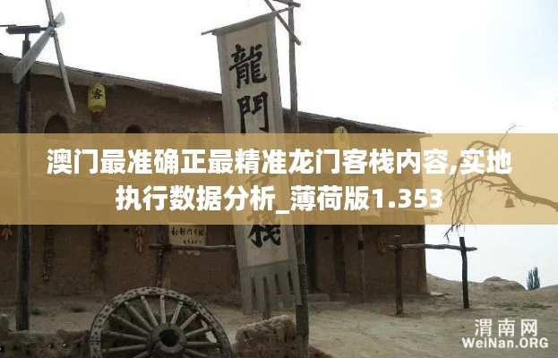 澳门最准确正最精准龙门客栈内容,实地执行数据分析_薄荷版1.353