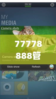 77778888管家婆的背景,持续解析方案_Tizen110.245