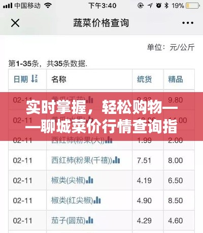 实时掌握，轻松购物——聊城菜价行情查询指南