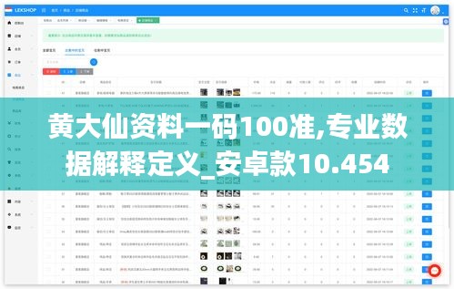 黄大仙资料一码100准,专业数据解释定义_安卓款10.454