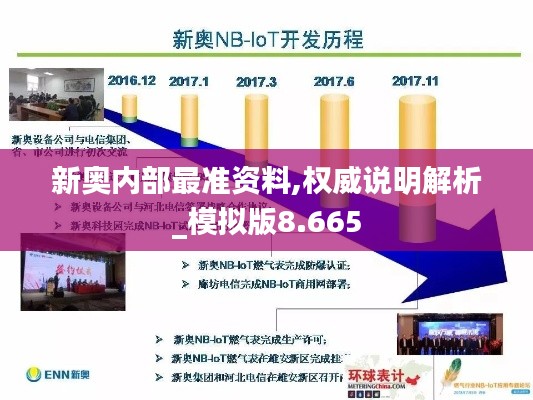新奥内部最准资料,权威说明解析_模拟版8.665