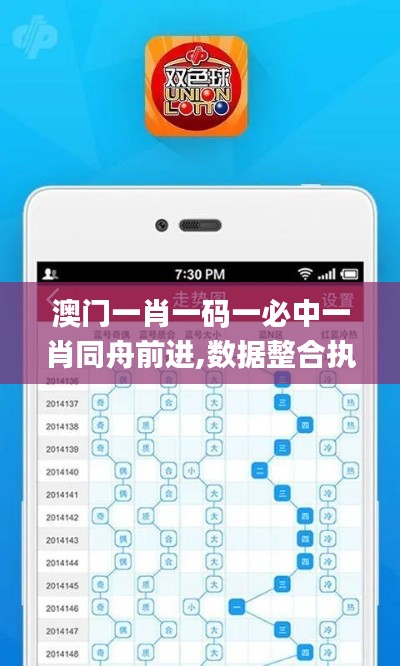 澳门一肖一码一必中一肖同舟前进,数据整合执行设计_入门版9.509