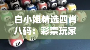白小姐精选四肖八码：彩票玩家的必备指南