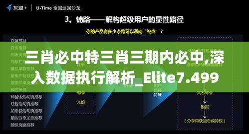 三肖必中特三肖三期内必中,深入数据执行解析_Elite7.499
