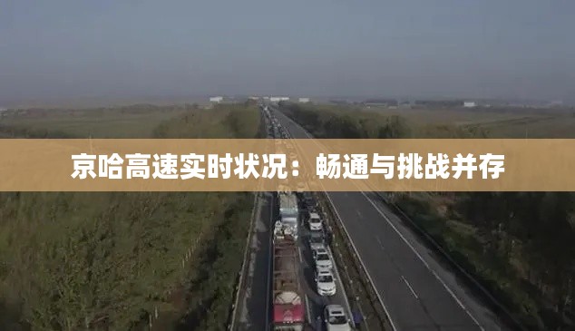 京哈高速实时状况：畅通与挑战并存