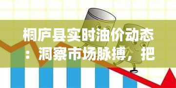 桐庐县实时油价动态：洞察市场脉搏，把握油品价格走势