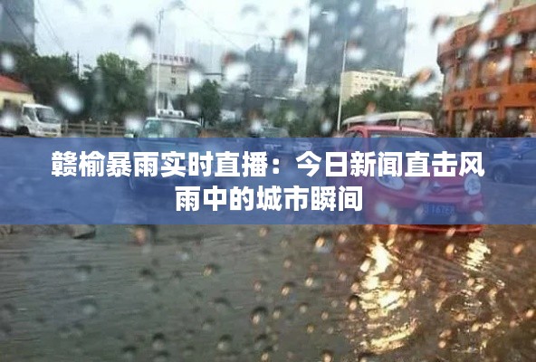 赣榆暴雨实时直播：今日新闻直击风雨中的城市瞬间