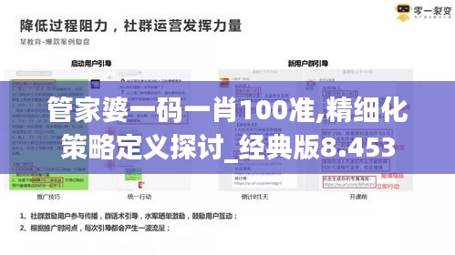 管家婆一码一肖100准,精细化策略定义探讨_经典版8.453