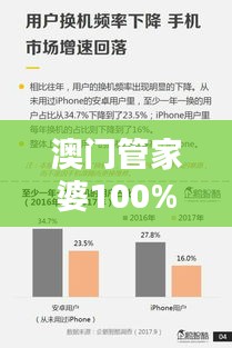 澳门管家婆100%精准348期：超越概率的艺术与科学