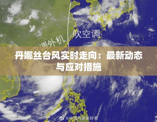 丹娜丝台风实时走向：最新动态与应对措施