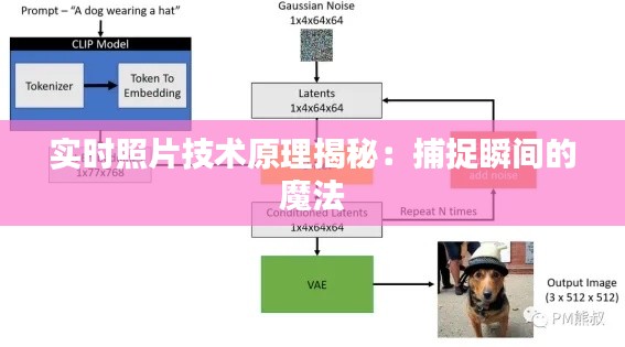 鸟声兽心 第4页