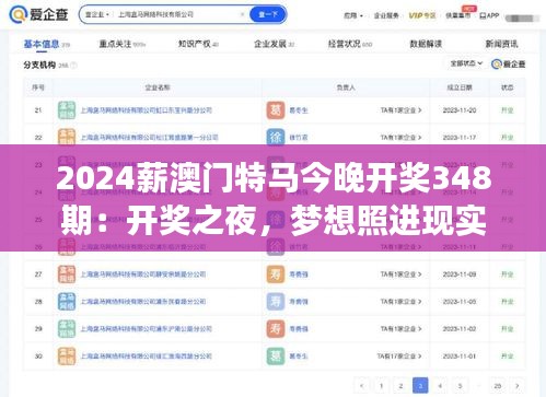 2024薪澳门特马今晚开奖348期：开奖之夜，梦想照进现实